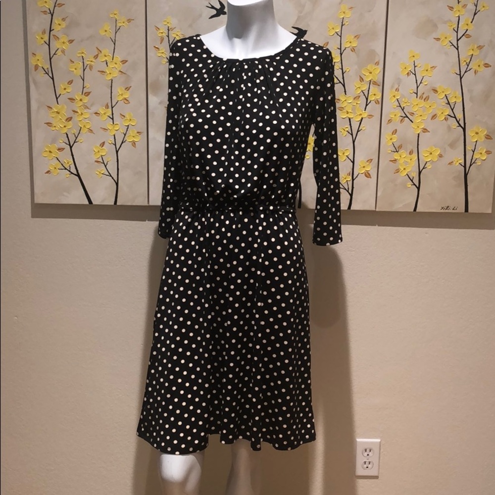 Ann Taylor dress